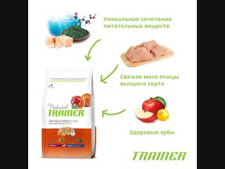 Корм trainer natural medium with fresh chicken and rice