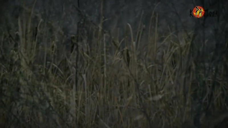 Когда вымерли мамонты?