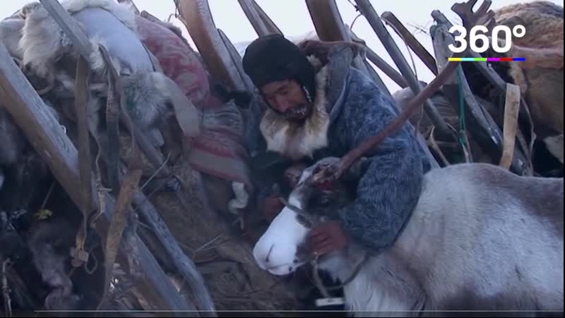 На чукотке нашли оленевода, который заблудился в тундре