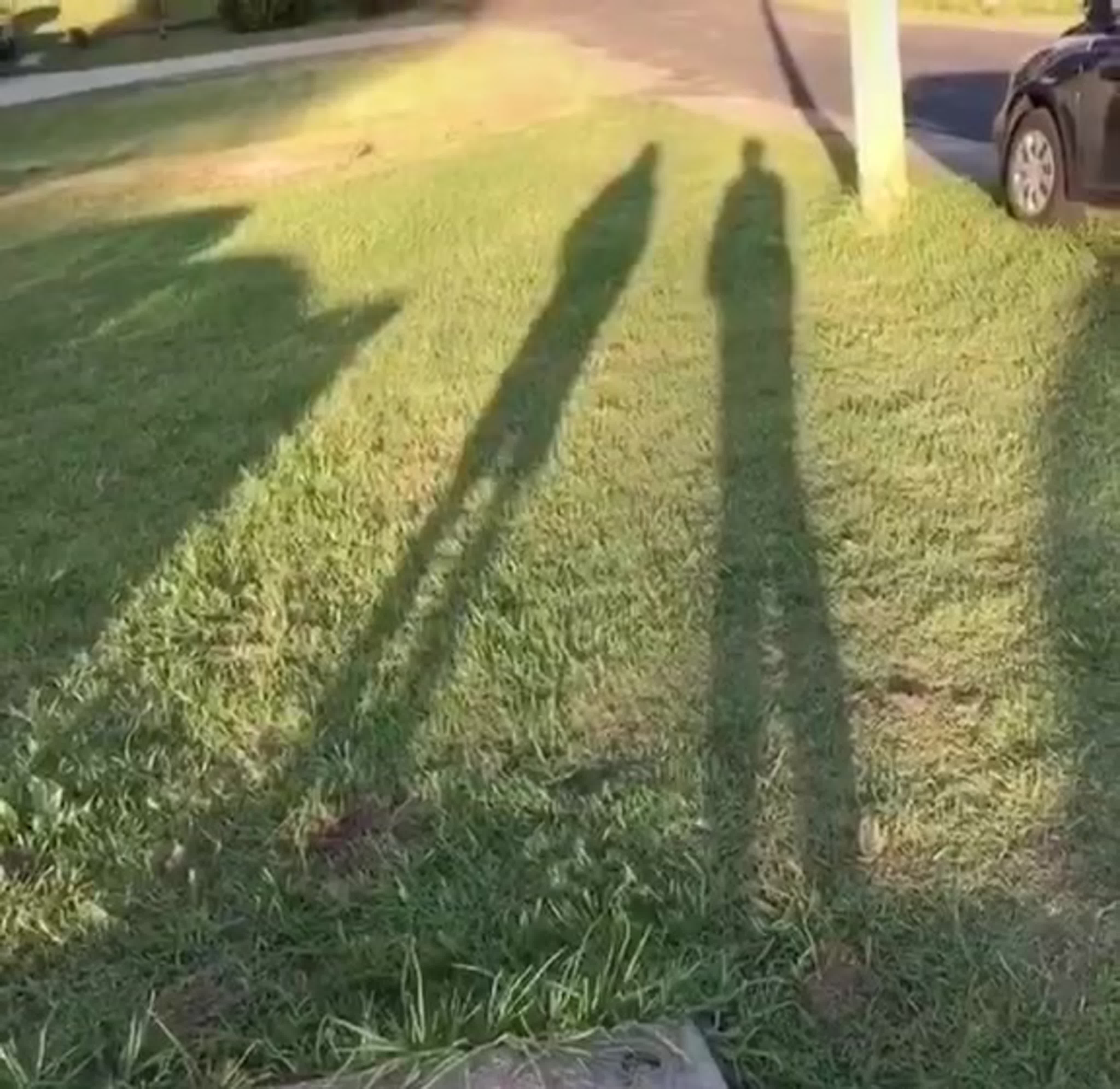 Живой навигатор! mp4 hq xxx video