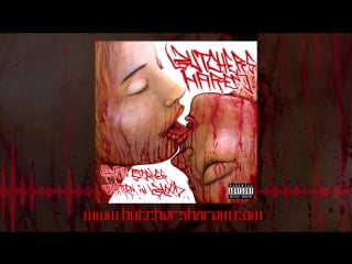 Butchers harem – advanced toilet slut training (feat toecutta)