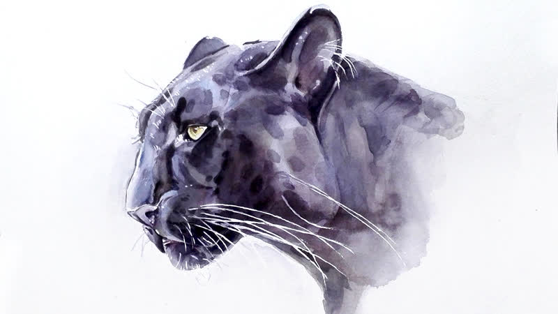 Yana porn video – Panthera watercolor by yana cot