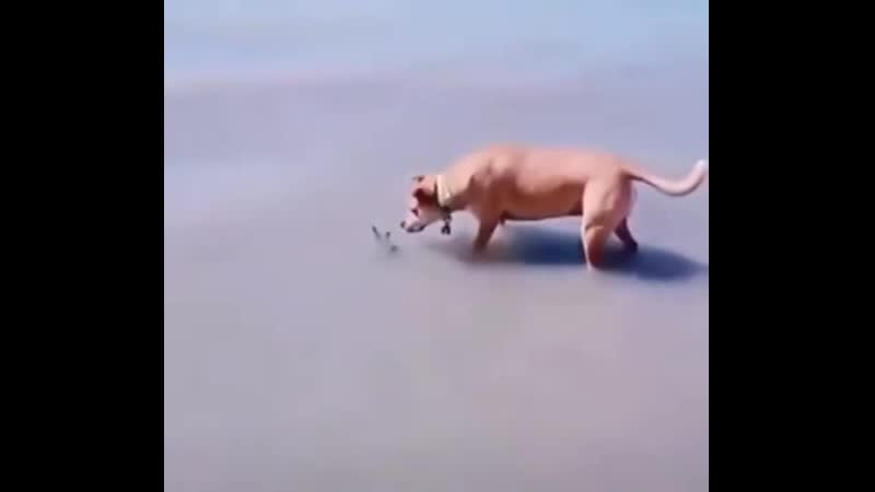 Яб тоже напугал так)