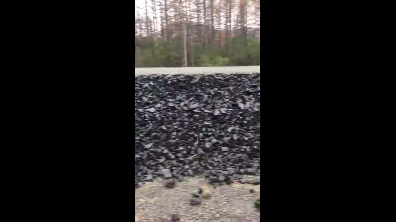 В россии три напасти дураки, дороги и партия власти