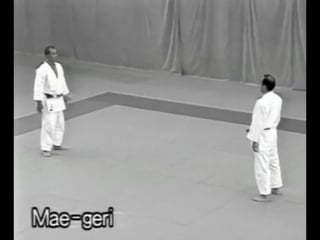 Традиционное дзюцу но самообороны