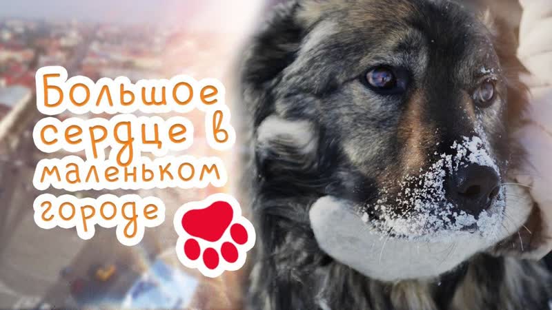 Документальный фильм про бездомных молодые | большое сердце в маленьком городе | hd | 2020