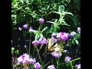 Misha collins on instagram “no one respects private property anymore!”
