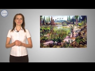 34 биология 6кл споровые растения папоротникообразные