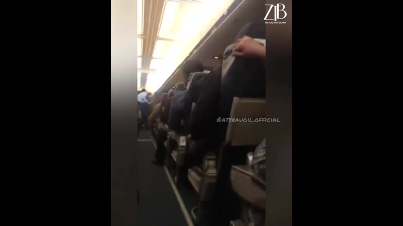 Самолет авиакомпании scat ''атаковали'' гуси