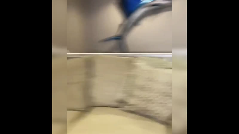 Досуг сшановских любителей демократии и свобод всё, кончилась сшания, как президентом извращенца джо выбрали, так всё