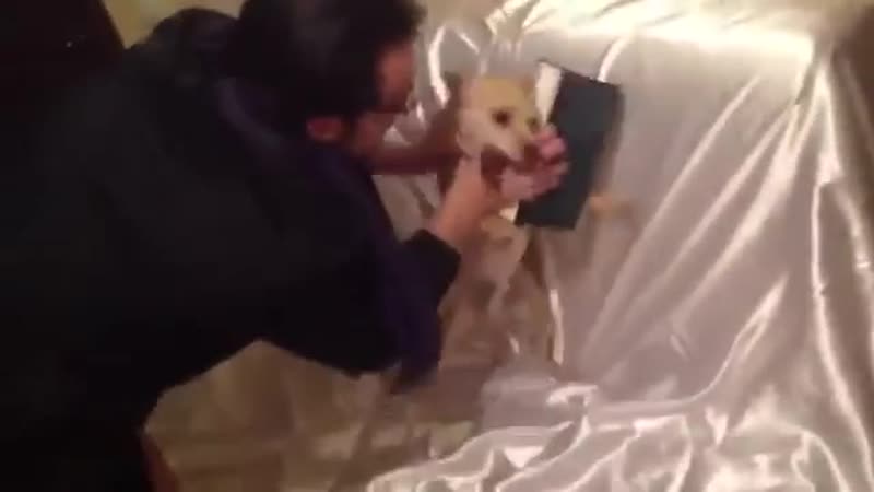 Экзорцист изгоняет дьявола из молодые