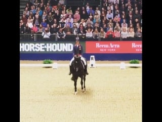 Charlotte dujardin olympia horse show 2015