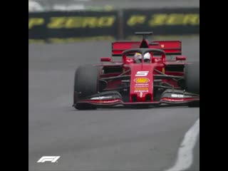 World’s luckiest bird eyes bird anguished heart eyes f1 formula1 germangp hockenheim germany ( 750 x 750 )