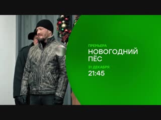 Новогодний подарок от нтв праздничный вечер вместе с четвероногим сыщиком «пёс» 31 декабря на нтв