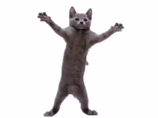 Страшна, вырубай