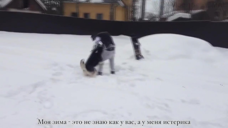 Рому жёлудя молодые секс