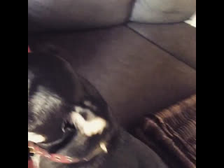 Видео 2 мелисса бенойст