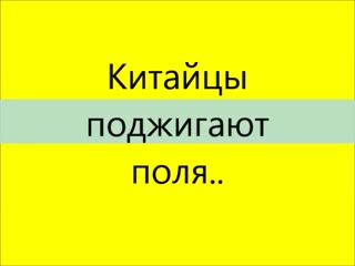 Китайцы поджигают поля все горит, птицы, молодые, лес