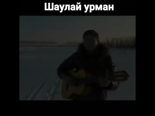 Шаулай урман hd 720p mp4