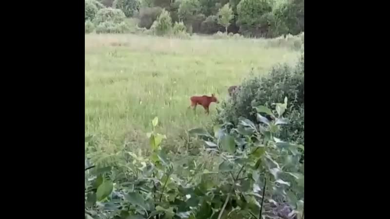 Мамаша и малец