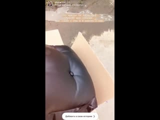 Автокресло для собак