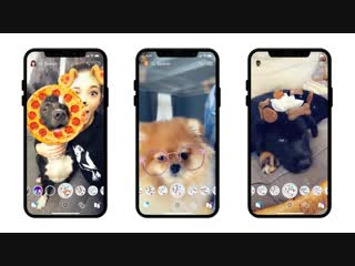 Dog lenses now on snapchat