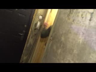 Самоизоляция | россия23