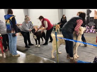 14 02 2021 моно сао кчк