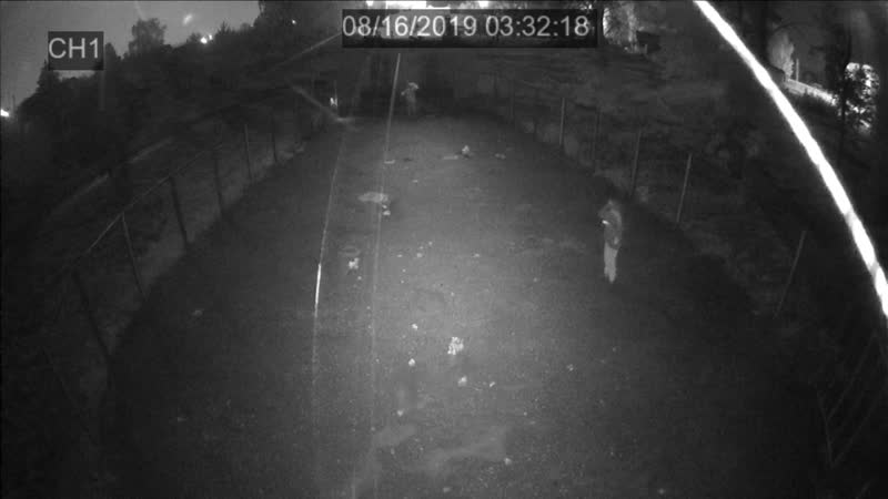 Вандалы в парке с кушнаренково