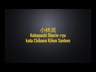 Kihon kata / chibana kihon sanbon