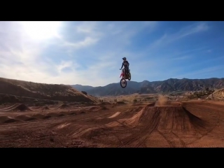 Cole seely