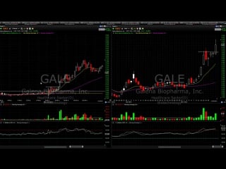 14(2) video lessons 271 280 ripping profits on $amrn $gale $rox $decn $drwi $vpco fous alerts 2