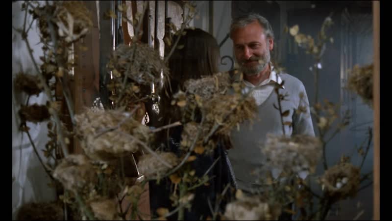 Гнездо (1980, испания) мелодрама хайме де арминьян