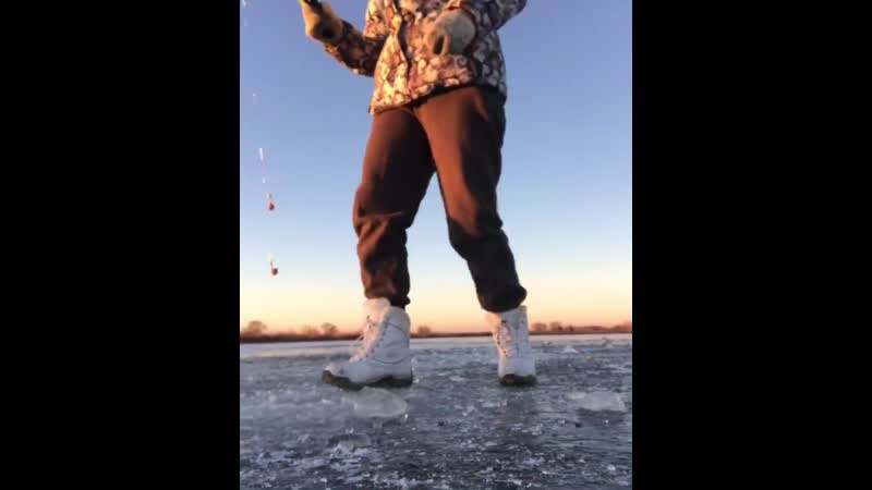 Барыня сударыня