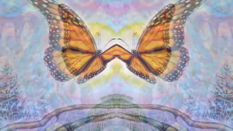 Tipper ambient set @ cosm alex grey art