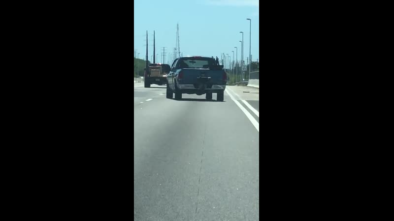 Валит боком (vhs video)