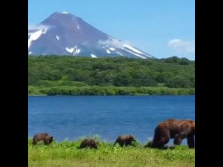 🔥 this family in kamchatka, russia