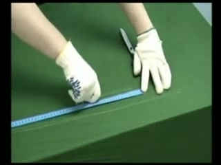 Satisfaction стэм «аппендиксъ»