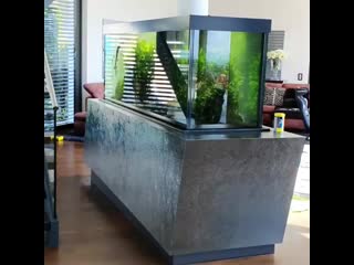 Aquascapeworld id 20200806 234707 0 mp4