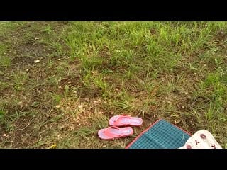 Vid 2019 07 28 155802 mp4