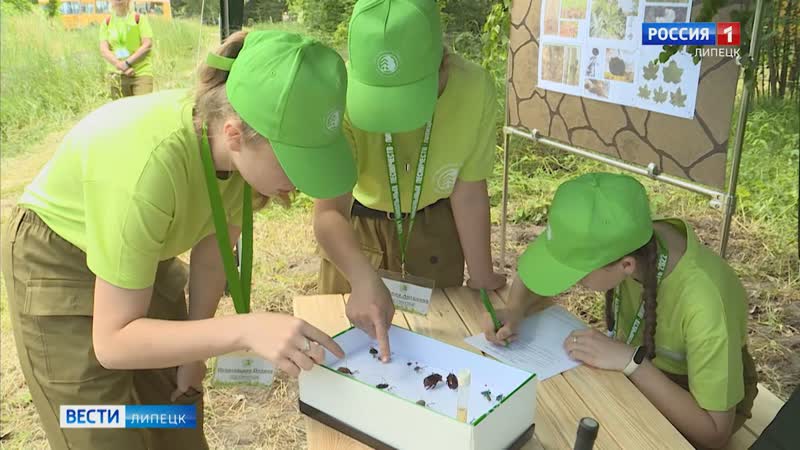 Слёт юных лесничих