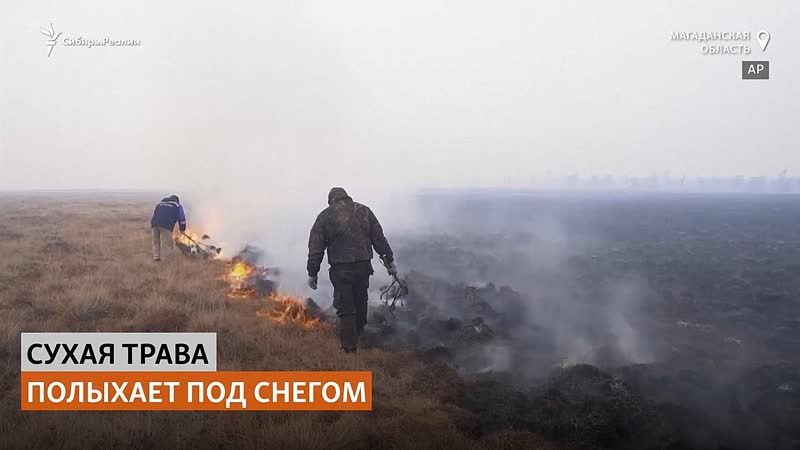 Тундра полыхает, несмотря на морозы | сибирь реалии