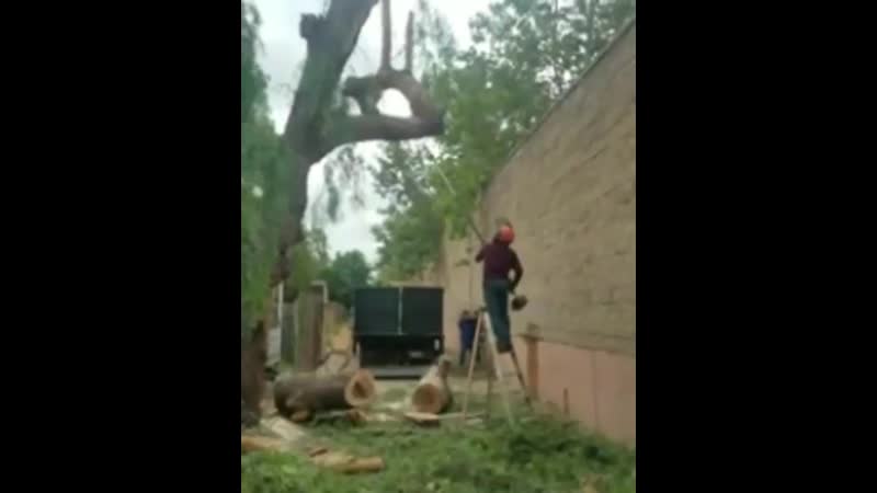 Раз 10 пересмотрел ахахаха