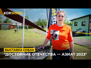 Korwood | "достояние отечества азиат 2023"