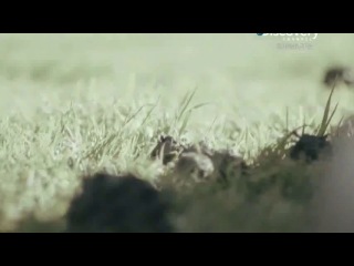 Встреча с инопланетянами последствия (2х02)