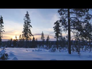 Карелия переспать с тайгой в избушке