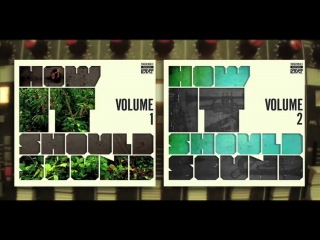 Damu the fudgemunk how it should sound / promo #2 (non lp track) [hd 720p]