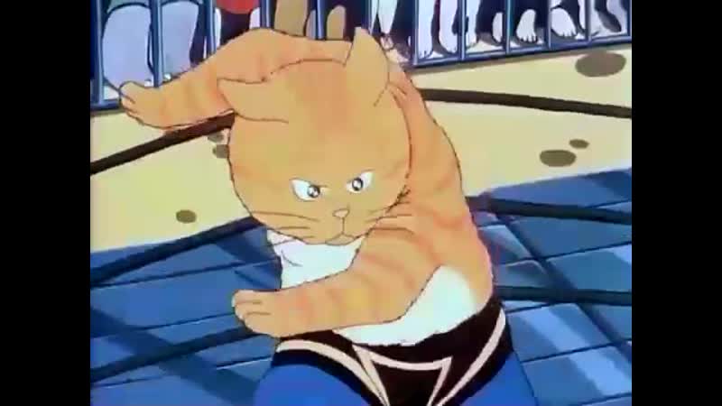 Невозможный прием для кошек (vhs video)