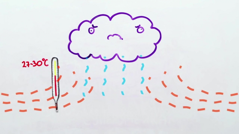 135 как появляются смерчи научпок