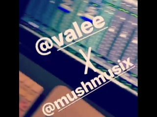 Snippet mush x valee